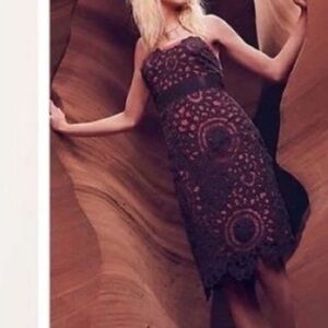 Anthropologie Floreat Sunrise Gray Coral Lace Overlay Whimsigoth Dress Size 0